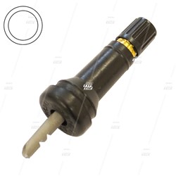 TPMS Snap-in Valve 6-503
