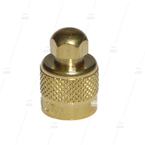 Large Bore Valve Cap - Hex Style (each)