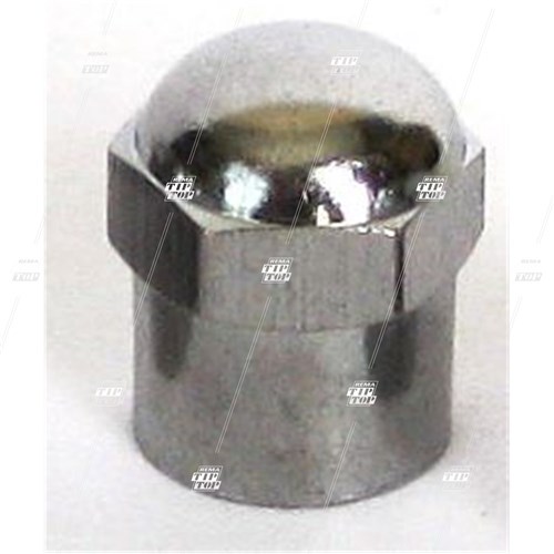 Dome Top Hex Metal Valve Cap - Chrome (bag/100)