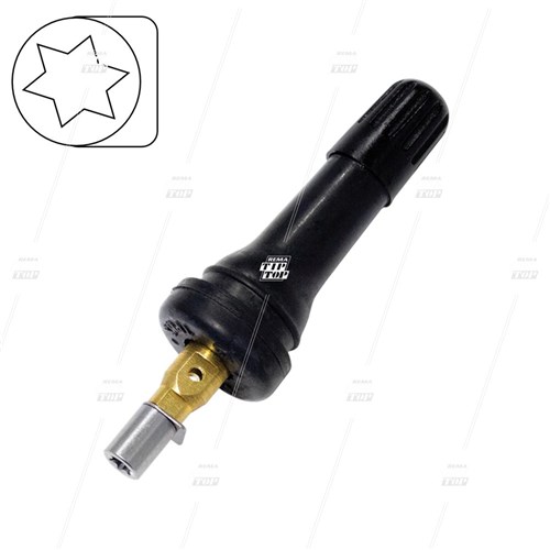 TPMS Snap-in Valve 6-209